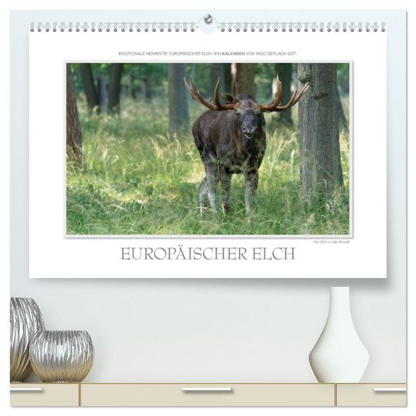 Produktbild: Emotionale Momente: Europ&auml;ischer Elch. / CH-Version (hochwertiger Premium Wandkalender 2026 DIN A2 quer), Kunstdruck in Hochglanz