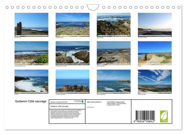 Produktbild: Quiberon C&ocirc;t&eacute; sauvage (Calendrier mural 2026 DIN A4 vertical), CALVENDO calendrier mensuel