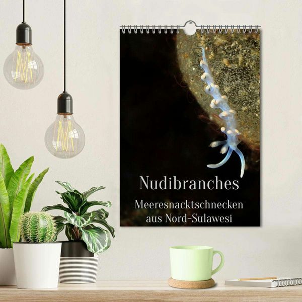 Produktbild: Nudibranches Meeresnacktschnecken aus Nord-Sulawesi (Wandkalender 2026 DIN A4 hoch), CALVENDO Monatskalender
