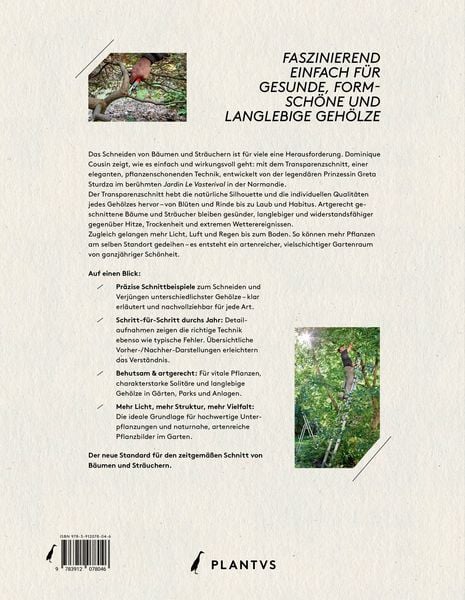 Produktbild: Transparenzschnitt