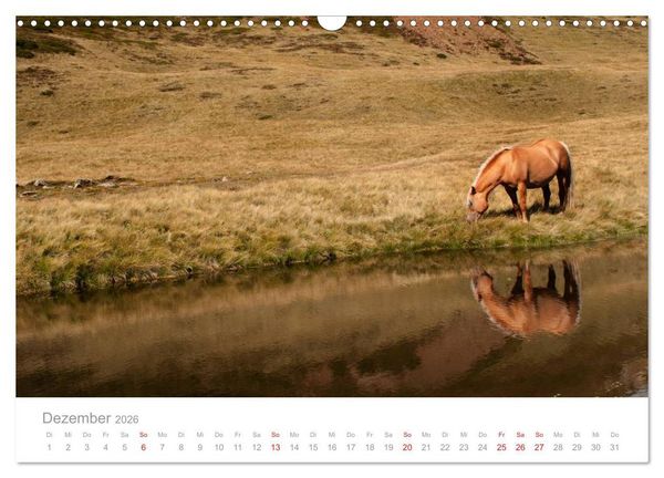 Produktbild: Pferde - In nat&uuml;rlicher Umgebung (Wandkalender 2026 DIN A3 quer), CALVENDO Monatskalender