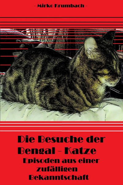 Produktbild: Die Besuche der Bengal-Katze