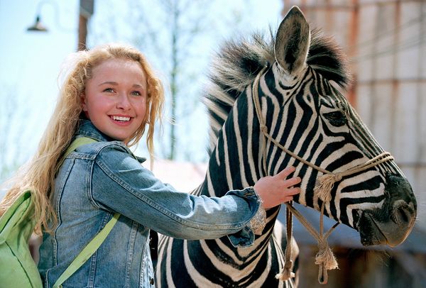 Produktbild: Stripes - Ein Zebra im Rennstall