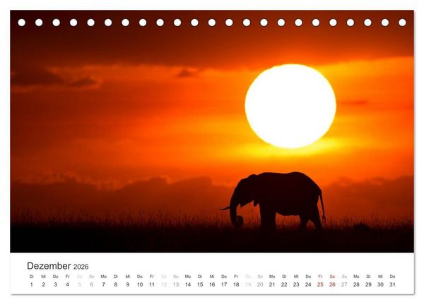 Produktbild: Elefanten - Sanfte Riesen in Afrika (Tischkalender 2026 DIN A5 quer), CALVENDO Monatskalender