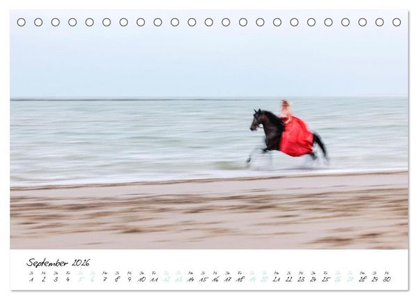 Produktbild: Pferde vom Wind verweht (Tischkalender 2026 DIN A5 quer), CALVENDO Monatskalender