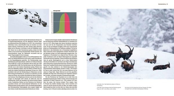 Produktbild: Der Steinbock