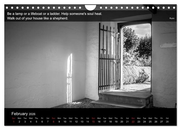 Produktbild: Through the Gate with Rumi (Wall Calendar 2026 DIN A4 landscape), CALVENDO 12 Month Wall Calendar