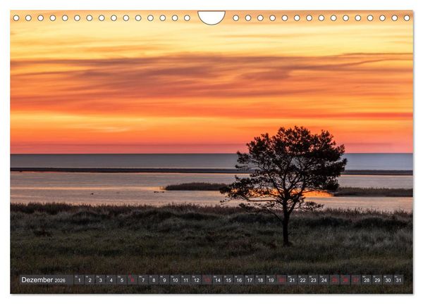 Produktbild: Dar&szlig;-Zingst Naturimpressionen (Wandkalender 2026 DIN A4 quer), CALVENDO Monatskalender