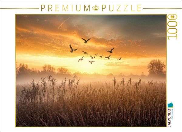 Produktbild: CALVENDO Puzzle G&auml;nse ziehen im Morgenlicht &uuml;ber nebelverhangene Wiesen - ein fliegender Neubeginn | 1000 Teile Lege-Gr&ouml;&szlig;e 64x48cm Foto-Puzzle f&uuml;r gl&uuml;