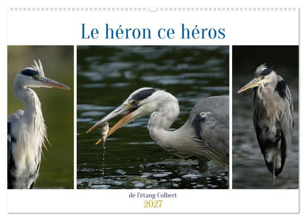 Produktbild: Le h&eacute;ron ce h&eacute;ros de l'&eacute;tang Colbert (Calendrier mural 2027 DIN A2 vertical), CALVENDO calendrier mensuel