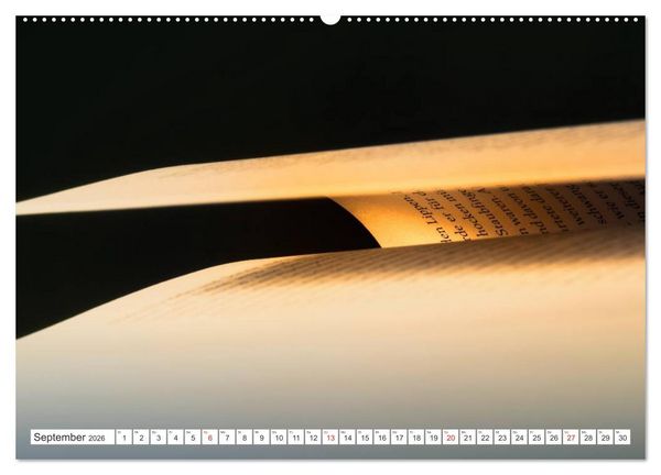Produktbild: Ars Libri - Kunstwerk Buch (hochwertiger Premium Wandkalender 2026 DIN A2 quer), Kunstdruck in Hochglanz