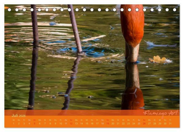 Produktbild: Flamingo Art 2026 (Tischkalender 2026 DIN A5 quer), CALVENDO Monatskalender