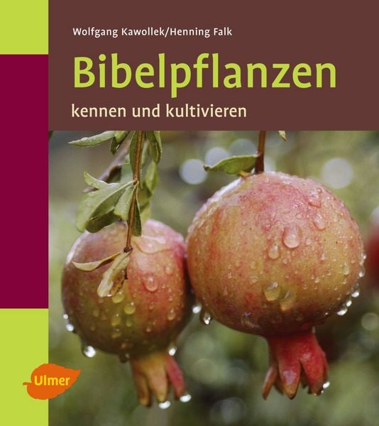 Produktbild: Bibelpflanzen