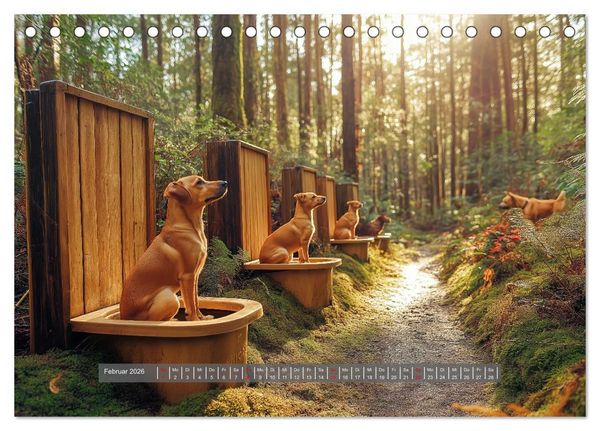 Produktbild: Sitz, Platz, Sp&uuml;l - Hunde auf dem Thron (Tischkalender 2026 DIN A5 quer), CALVENDO Monatskalender