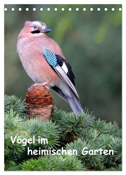 Produktbild: V&ouml;gel im heimischen Garten (Tischkalender 2026 DIN A5 hoch), CALVENDO Monatskalender