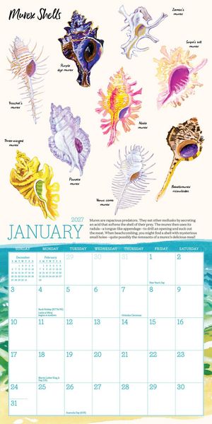 Produktbild: Searching for Seashells Mini Wall Calendar 2027