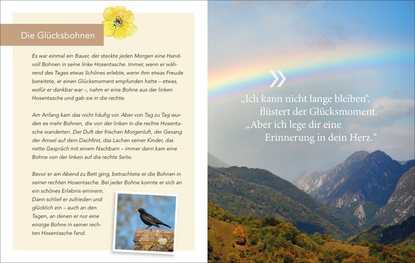 Produktbild: Bl&uuml;tezeiten. Impulse f&uuml;r Entspannung und Lebensfreude