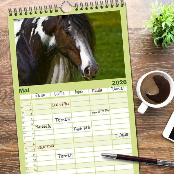 Produktbild: Familienplaner 2026 - Irish Tinker mit 5 Spalten (Wandkalender, 21 x 45 cm) CALVENDO