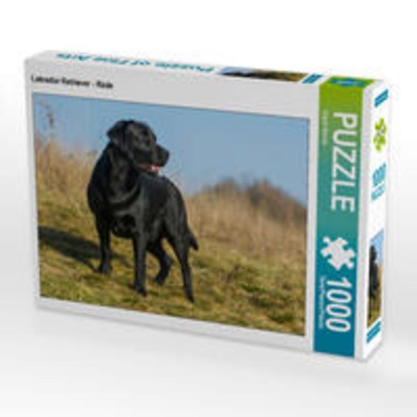 CALVENDO Puzzle Labrador Retriever - Rüde | 1000 Teile Lege-Größe 64x48cm Foto-Puzzle für glückliche Stunden