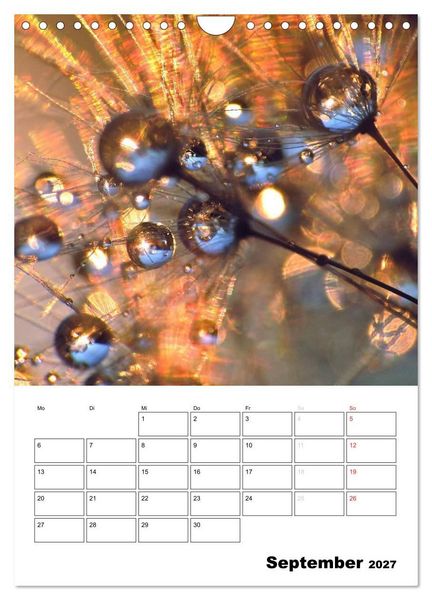 Produktbild: Pusteblumentraum - Dreams of Dandelion (Wandkalender 2027 DIN A4 hoch), CALVENDO Monatskalender