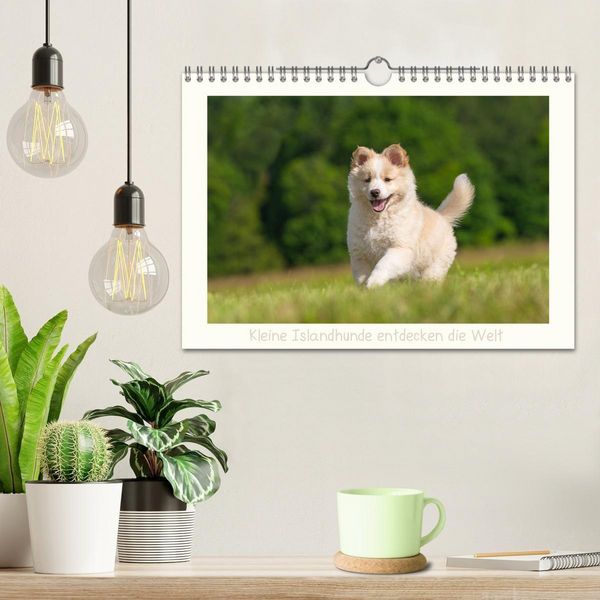 Produktbild: Kleine Islandhunde entdecken die Welt (Wandkalender 2027 DIN A4 quer), CALVENDO Monatskalender