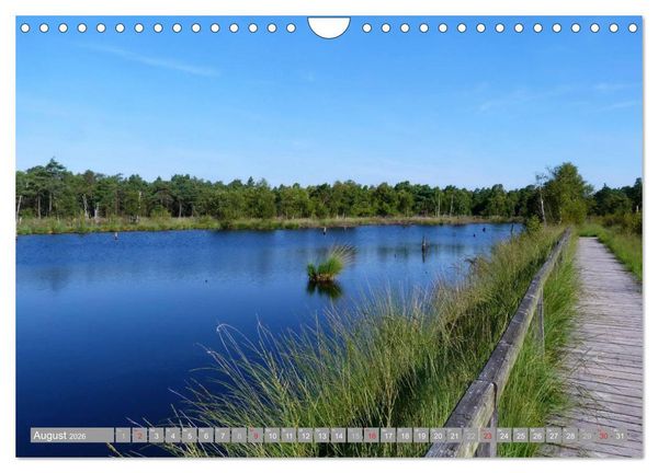 Produktbild: Pietzmoor - ein Hochmoor in der L&uuml;neburger Heide (Wandkalender 2026 DIN A4 quer), CALVENDO Monatskalender