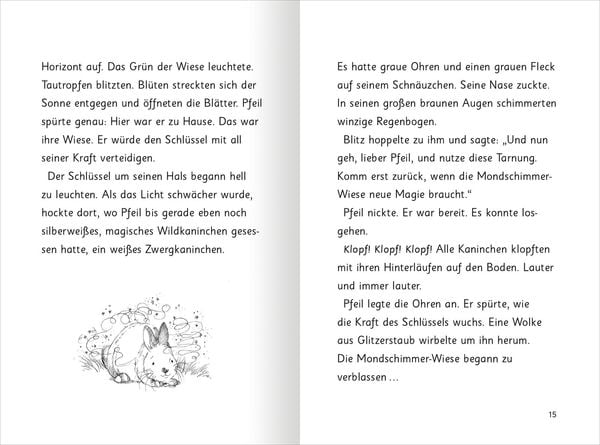 Produktbild: Magische H&auml;schen &ndash; Knuffiges Chaos