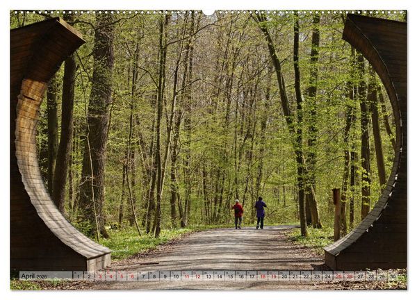 Produktbild: Der Hainich in Th&uuml;ringen - Weltnaturerbe (Wandkalender 2026 DIN A2 quer), CALVENDO Monatskalender