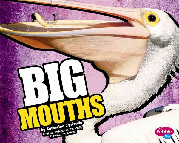 Produktbild: Big Mouths
