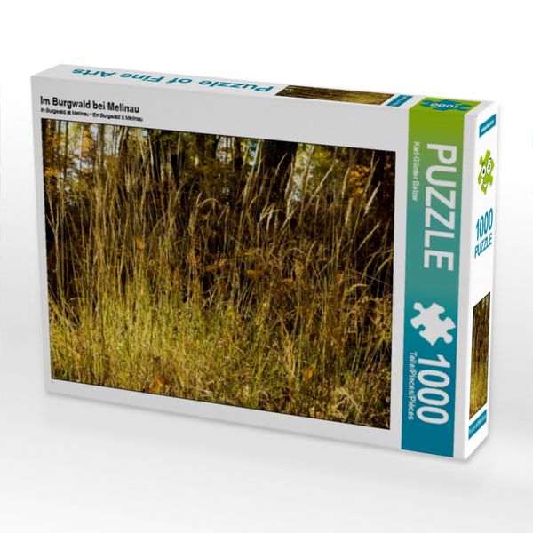 Produktbild: CALVENDO Puzzle Im Burgwald bei Mellnau | 1000 Teile Lege-Gr&ouml;&szlig;e 64 &times; 48 cm Foto-Puzzle f&uuml;r gl&uuml;ckliche Stunden