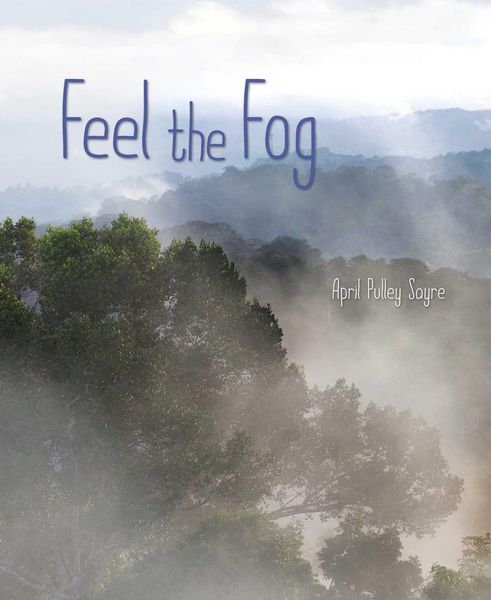 Produktbild: Feel the Fog