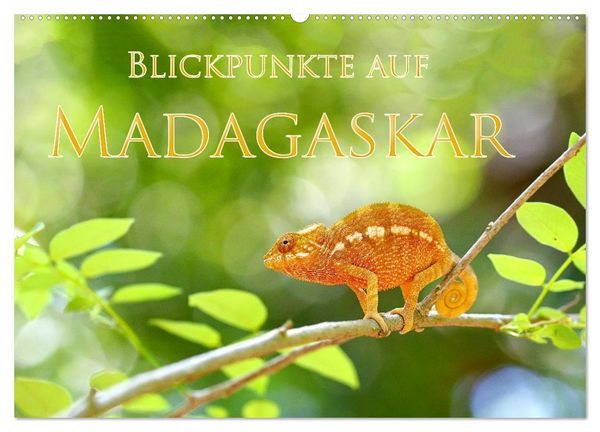 Produktbild: Blickpunkte auf Madagaskar (Wandkalender 2027 DIN A2 quer), CALVENDO Monatskalender