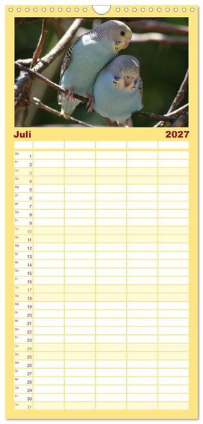Produktbild: Familienplaner 2027 - Wellensittiche - Gefiederte Freunde mit 5 Spalten (Wandkalender, 21 x 45 cm) CALVENDO