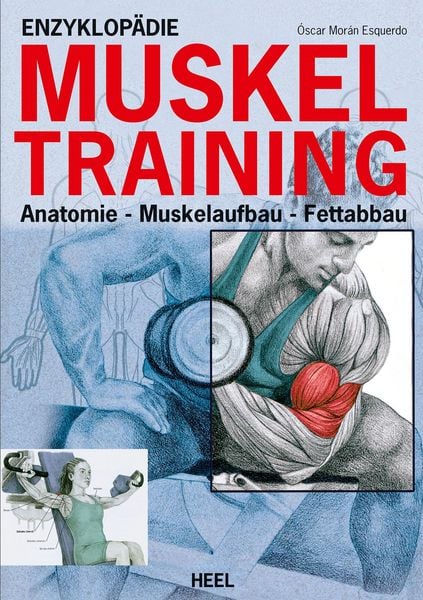 Produktbild: Enzyklop&auml;die Muskeltraining