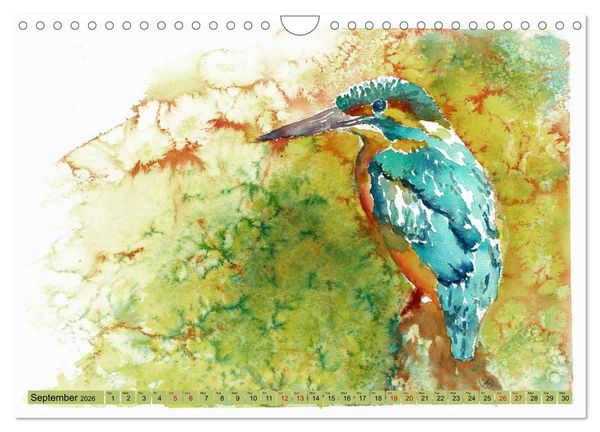 Produktbild: The Fascinating World of Birds in Watercolour (Wall Calendar 2026 DIN A4 landscape), CALVENDO 12 Month Wall Calendar