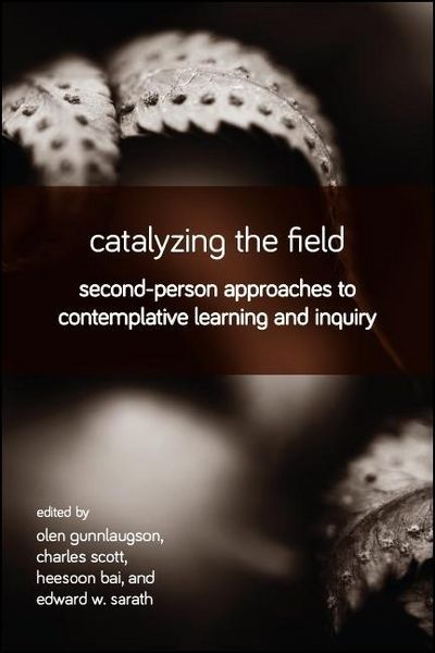 Produktbild: Catalyzing the Field