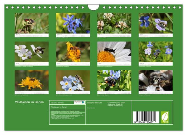 Produktbild: Wildbienen im Garten (Wandkalender 2026 DIN A4 quer), CALVENDO Monatskalender