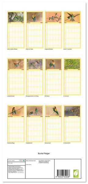 Produktbild: Familienplaner 2026 - Bunte Flieger mit 5 Spalten (Wandkalender, 21 x 45 cm) CALVENDO