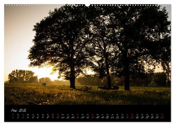 Produktbild: Wald (Wandkalender 2026 DIN A2 quer), CALVENDO Monatskalender