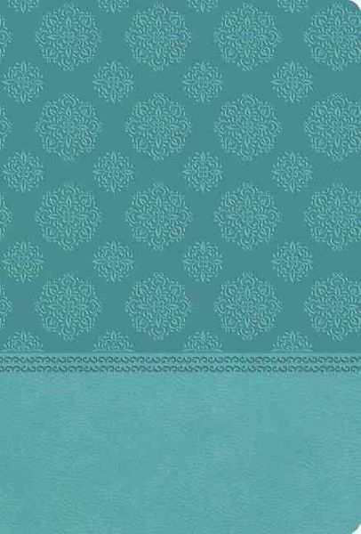Produktbild: Nelson, T: NKJV, Ultraslim Reference Bible, Imitation Leathe
