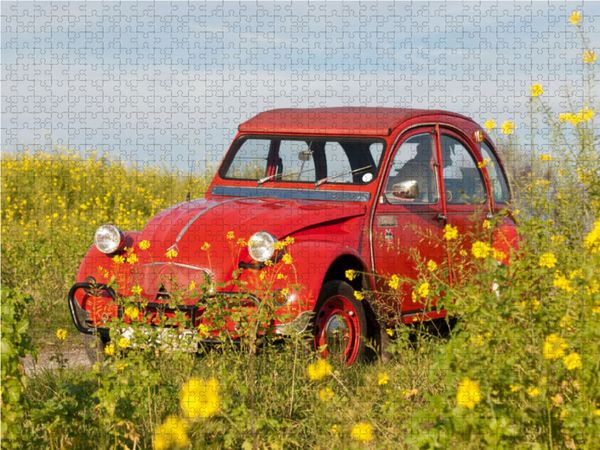 Produktbild: CALVENDO Puzzle Ente im Glebsenf 1000 Teile Lege-Gr&ouml;&szlig;e 64 x 48 cm Foto-Puzzle Bild von Meike B&ouml;lts