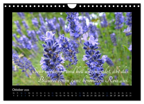 Produktbild: Goethes Blau. Gedanken zur Farbe (Wandkalender 2026 DIN A4 quer), CALVENDO Monatskalender