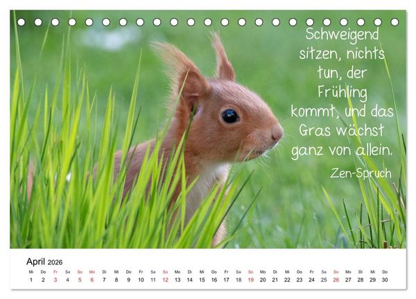 Produktbild: Der literarische Eichh&ouml;rnchen-Kalender (Tischkalender 2026 DIN A5 quer), CALVENDO Monatskalender