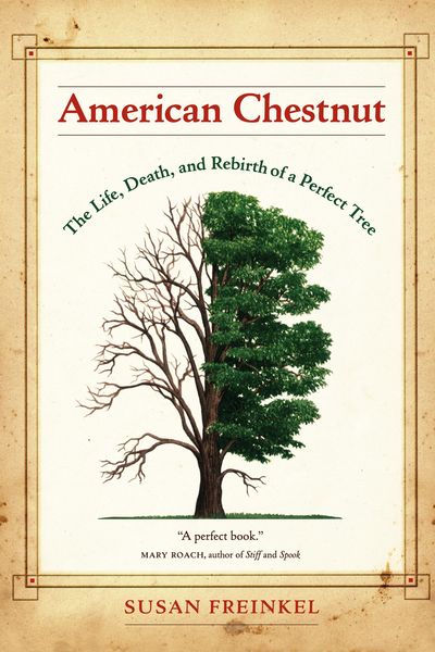 Produktbild: American Chestnut