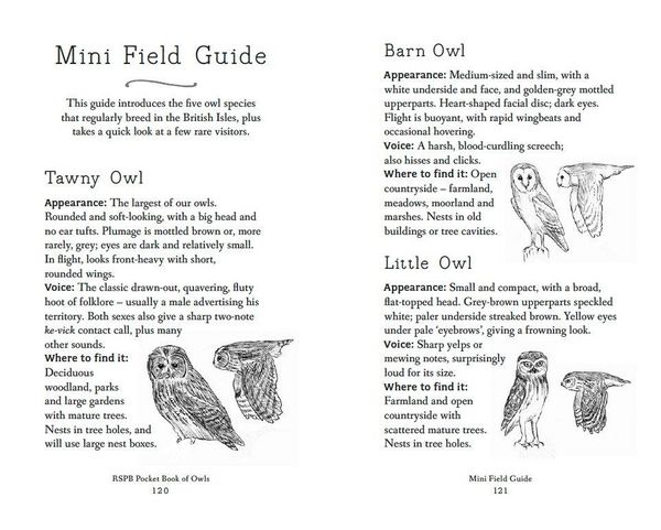 Produktbild: RSPB Pocket Book of Owls