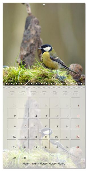 Produktbild: Le jardin des m&eacute;sanges (Calendrier mural carr&eacute; 2026 30x30 cm) Calendrier double avec une page pour vos prises de notes