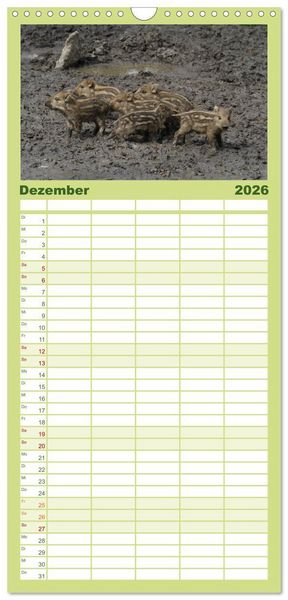 Produktbild: Familienplaner 2026 - Schweinkram - Die Wildschweine sind los mit 5 Spalten (Wandkalender, 21 x 45 cm) CALVENDO