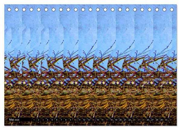 Produktbild: Magische Bilder - 3D Stereogramme (Tischkalender 2026 DIN A5 quer), CALVENDO Monatskalender