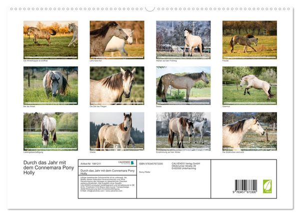 Produktbild: Durch das Jahr mit dem Connemara Pony Holly (hochwertiger Premium Wandkalender 2026 DIN A2 quer), Kunstdruck in Hochglanz
