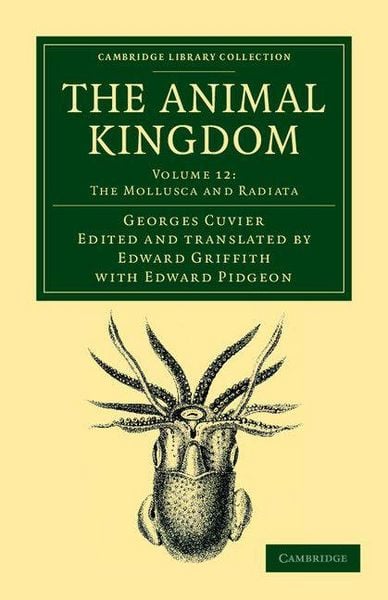 Produktbild: The Animal Kingdom - Volume 12